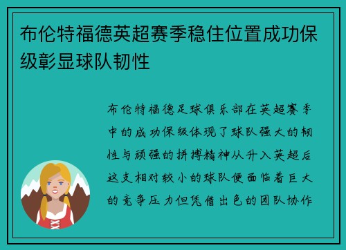 布伦特福德英超赛季稳住位置成功保级彰显球队韧性